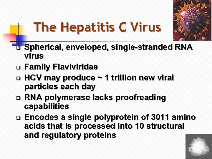 The Hepatitis C Virus q q q Spherical, enveloped, single-stranded RNA virus Family Flaviviridae