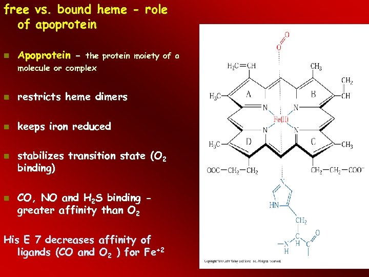 free vs. bound heme - role of apoprotein Apoprotein - restricts heme dimers keeps