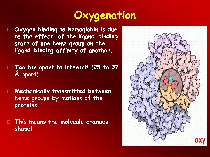 Oxygenation Oxygen binding to hemoglobin is due to the effect of the ligand-binding state