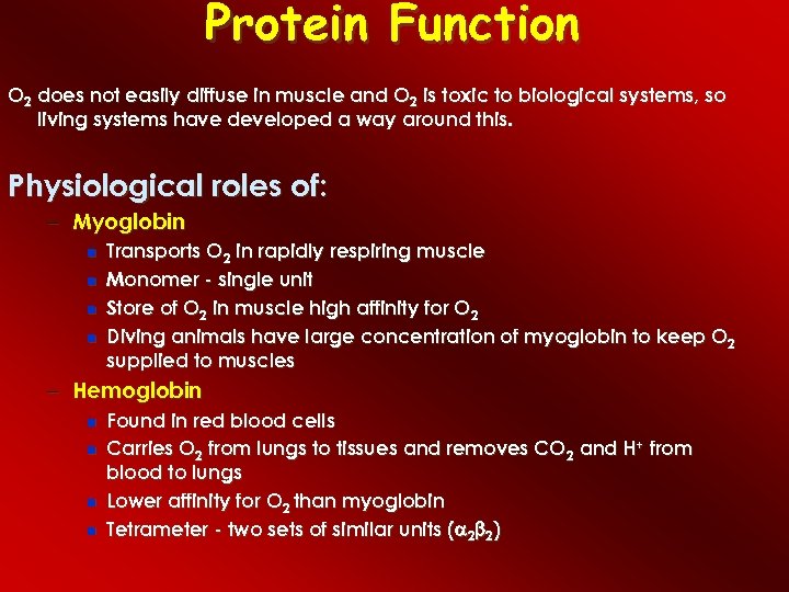 Protein Function O 2 does not easily diffuse in muscle and O 2 is