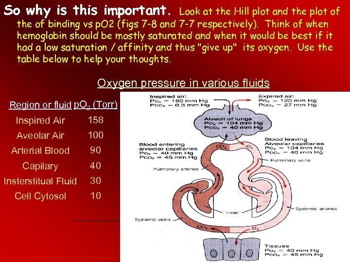 So why is this important. Look at the Hill plot and the plot of