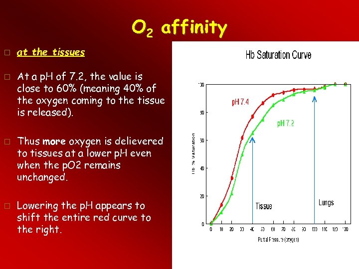 O 2 affinity at the tissues At a p. H of 7. 2, the