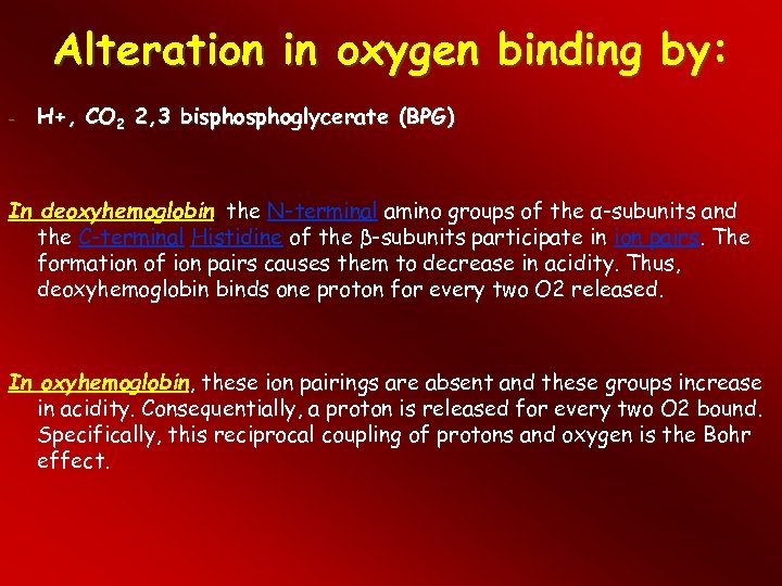 Alteration in oxygen binding by: - H+, CO 2 2, 3 bisphoglycerate (BPG) In