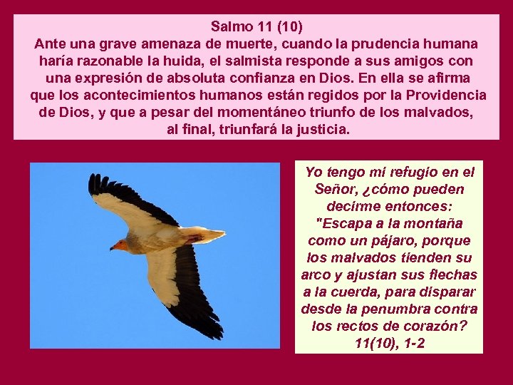 Salmo 11 (10) Ante una grave amenaza de muerte, cuando la prudencia humana haría