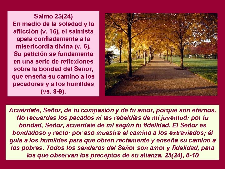 Salmo 25(24) En medio de la soledad y la aflicción (v. 16), el salmista