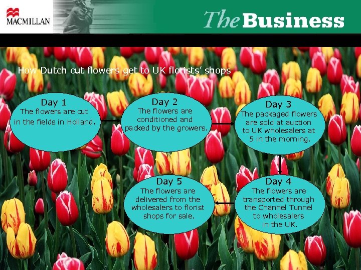 How Dutch cut flowers get to UK florists’ shops Day 1 The flowers are