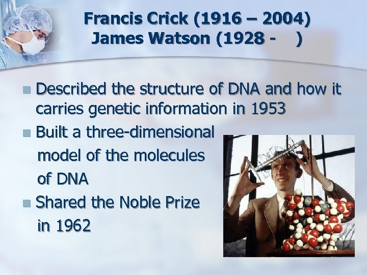 Francis Crick (1916 – 2004) James Watson (1928 - ) Described the structure of