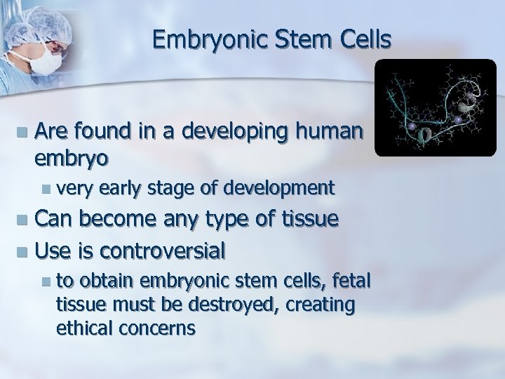 Embryonic Stem Cells n Are found in a developing human embryo n very early