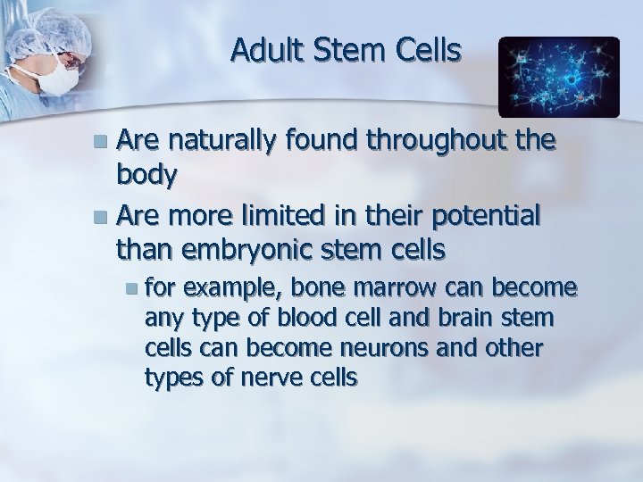 Adult Stem Cells Are naturally found throughout the body n Are more limited in