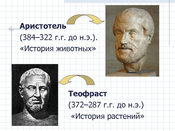 Аристотель (384– 322 г. г. до н. э. ). «История животных» Теофраст (372– 287