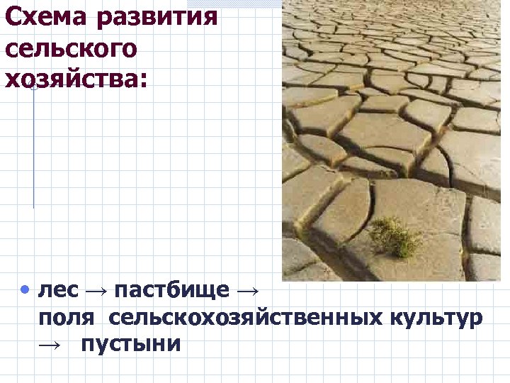 Схема развития сельского хозяйства: • лес → пастбище → поля сельскохозяйственных культур → пустыни