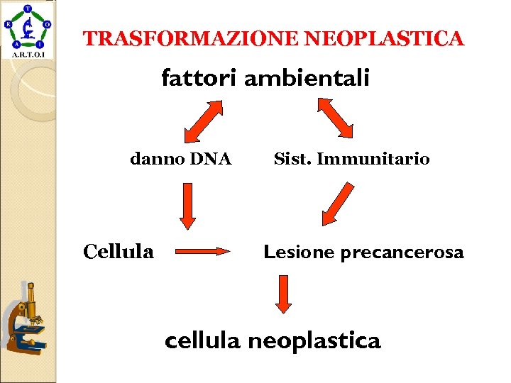 TRASFORMAZIONE NEOPLASTICA fattori ambientali danno DNA Cellula Sist. Immunitario Lesione precancerosa cellula neoplastica 