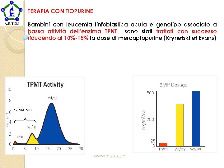 TERAPIA CON TIOPURINE Bambini con leucemia linfoblastica acuta e genotipo associato a bassa attività