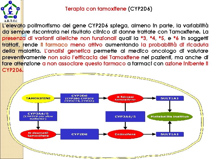 Terapia con tamoxifene (CYP 2 D 6) L’elevato polimorfismo del gene CYP 2 D