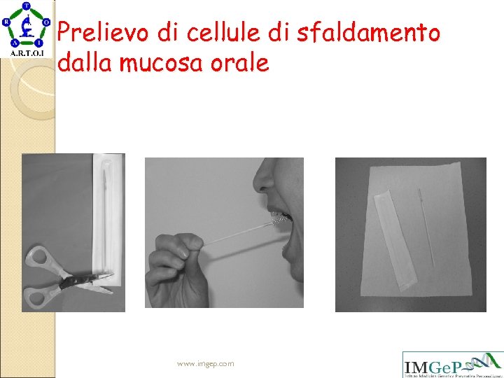 Prelievo di cellule di sfaldamento dalla mucosa orale www. imgep. com 