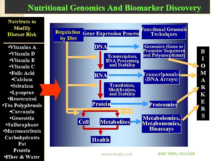 Nutritional Genomics And Biomarker Discovery Nutrients to Modify Disease Risk • Vitamins A •
