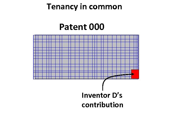Tenancy in common Patent 000 Inventor D’s contribution 