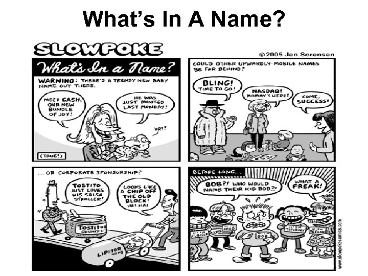 What’s In A Name? 