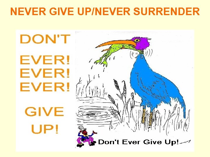 NEVER GIVE UP/NEVER SURRENDER 