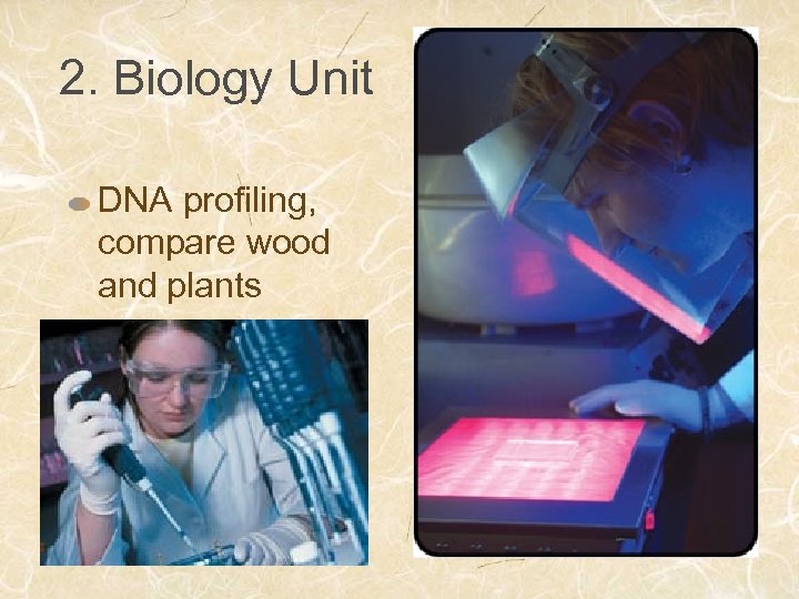 2. Biology Unit DNA profiling, compare wood and plants 