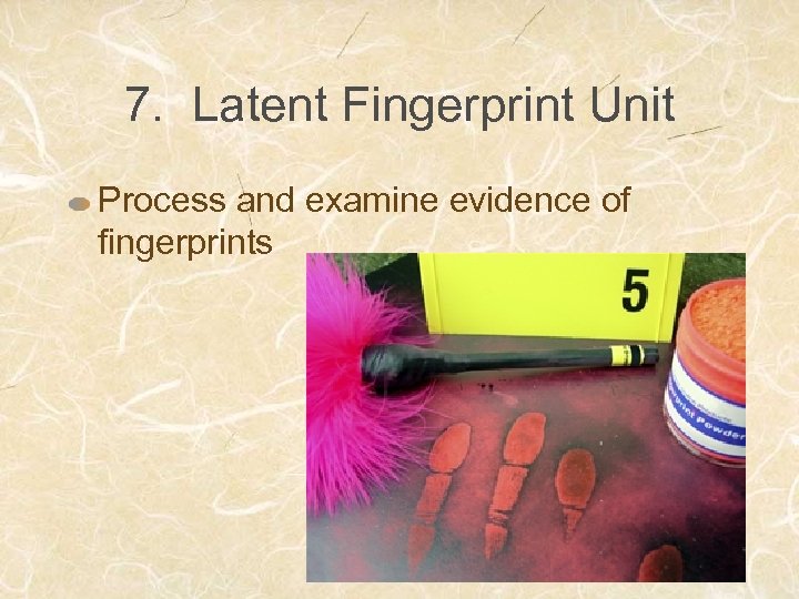 7. Latent Fingerprint Unit Process and examine evidence of fingerprints 