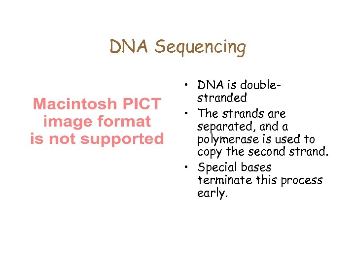DNA Sequencing • DNA is doublestranded • The strands are separated, and a polymerase