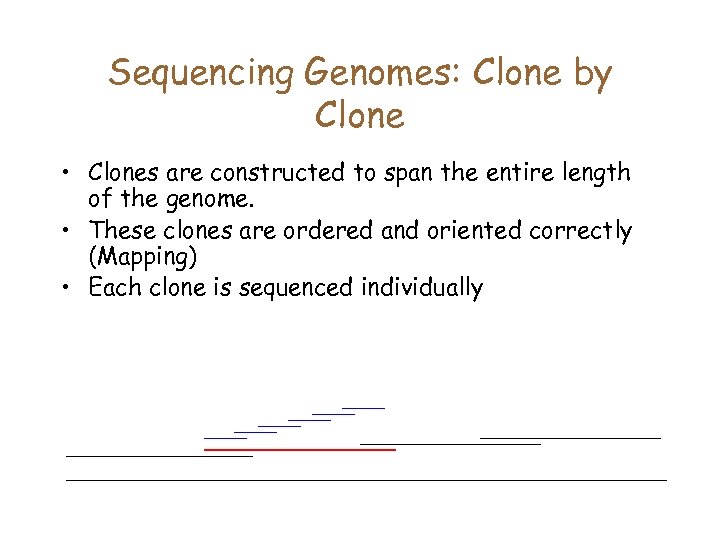 Sequencing Genomes: Clone by Clone • Clones are constructed to span the entire length