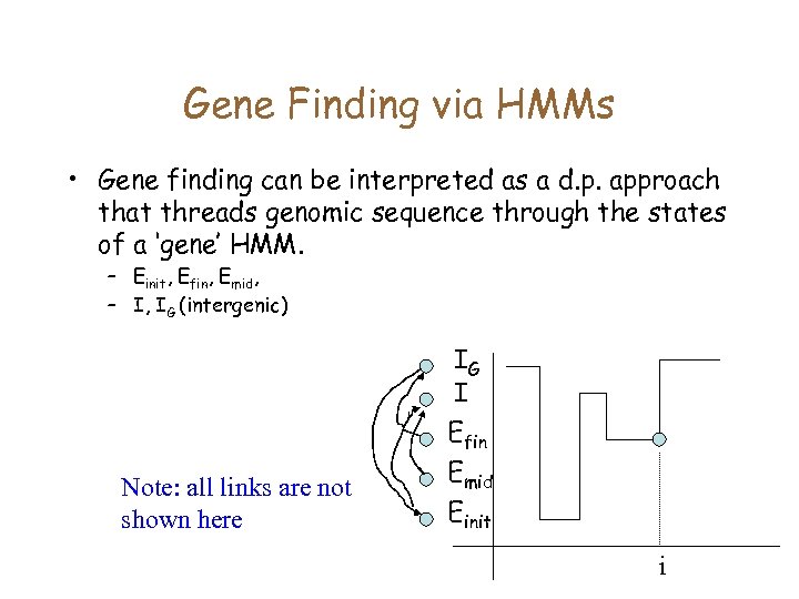 Gene Finding via HMMs • Gene finding can be interpreted as a d. p.