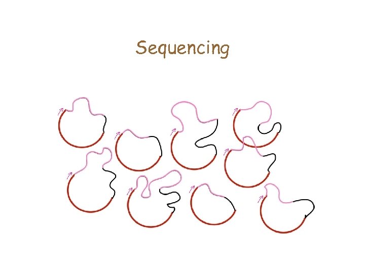 Sequencing 