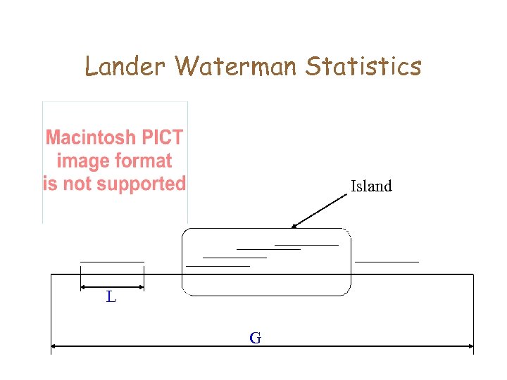 Lander Waterman Statistics Island L G 