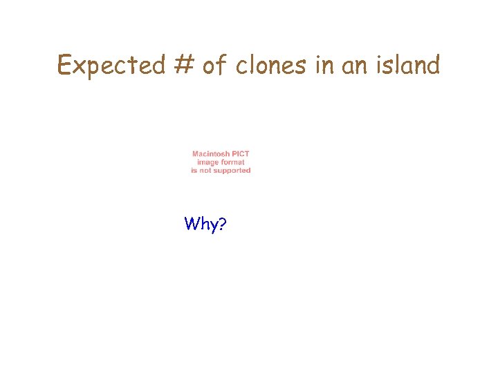 Expected # of clones in an island Why? 