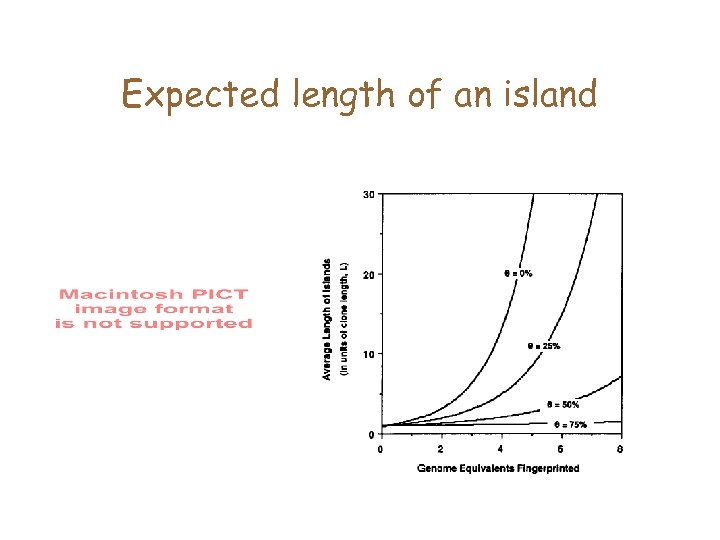 Expected length of an island 