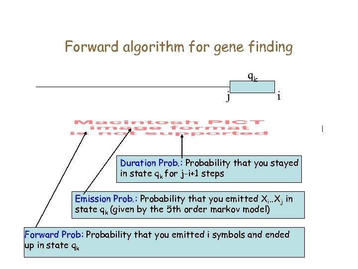 Forward algorithm for gene finding qk j i Duration Prob. : Probability that you