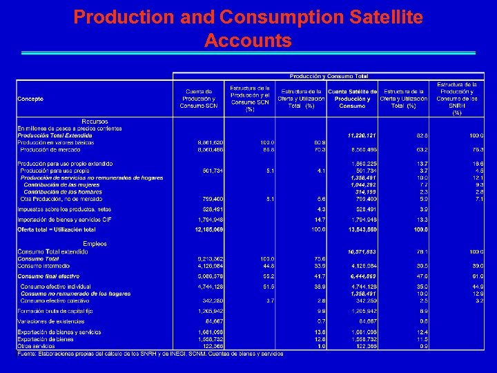 Production and Consumption Satellite Accounts 