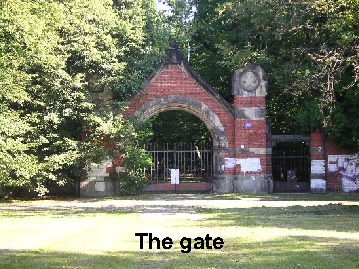 The gate 