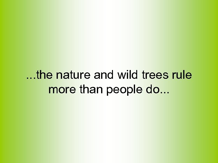 . . . the nature and wild trees rule more than people do. .
