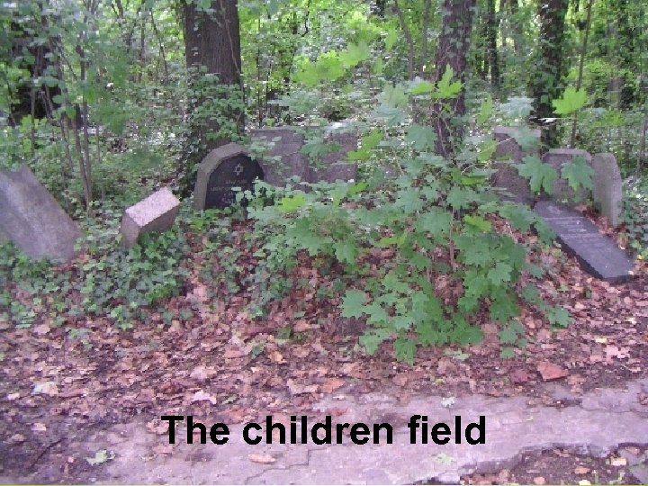 The children field 