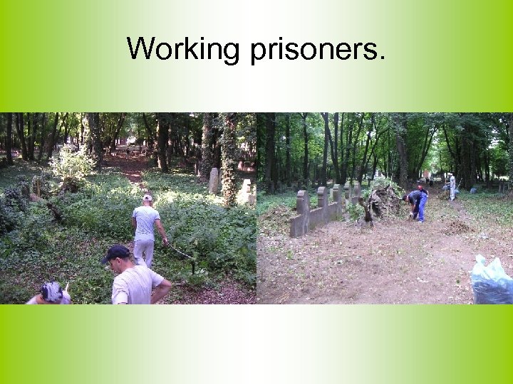Working prisoners. 