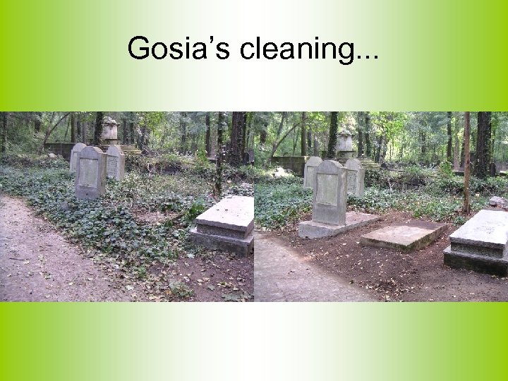 Gosia’s cleaning. . . 