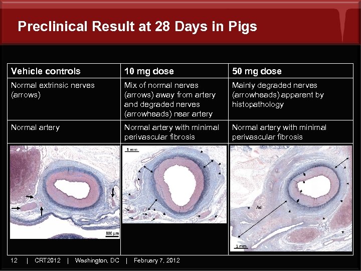 Preclinical Result at 28 Days in Pigs Vehicle controls 10 mg dose 50 mg