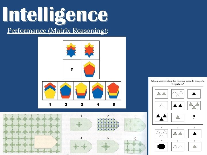 Intelligence Performance (Matrix Reasoning): 