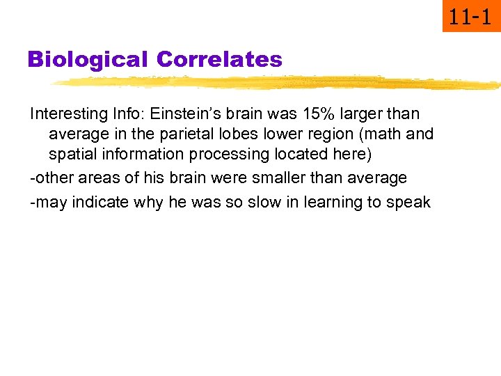 11 -1 Biological Correlates Interesting Info: Einstein’s brain was 15% larger than average in