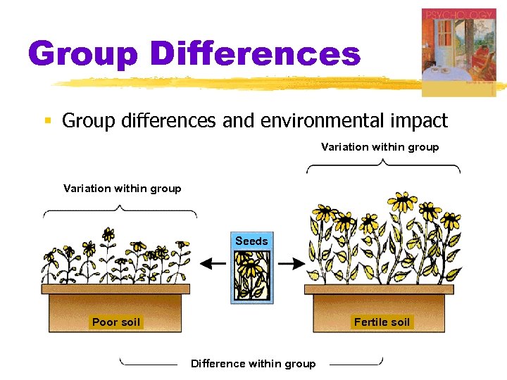 Group Differences § Group differences and environmental impact Variation within group Seeds Poor soil