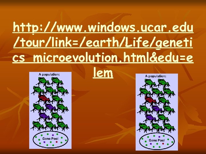 http: //www. windows. ucar. edu /tour/link=/earth/Life/geneti cs_microevolution. html&edu=e lem 