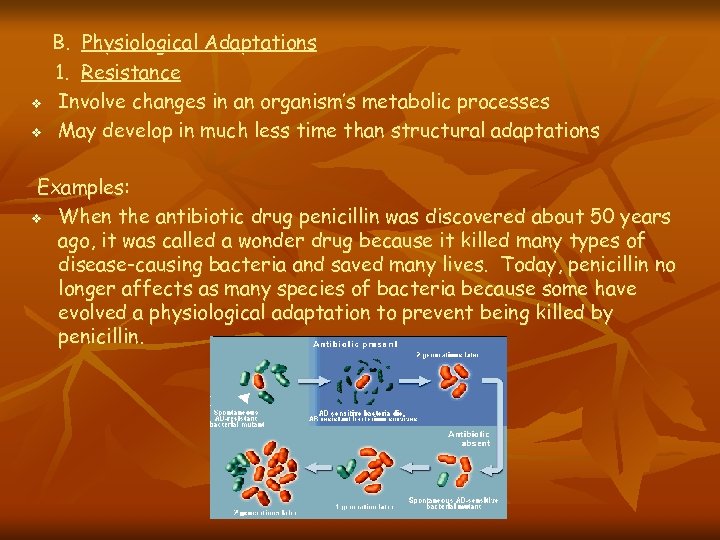 v v B. Physiological Adaptations 1. Resistance Involve changes in an organism’s metabolic processes