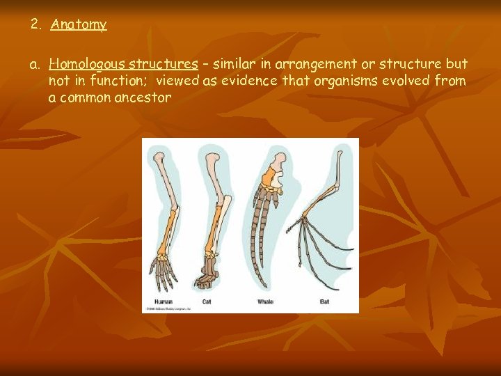 2. Anatomy a. Homologous structures – similar in arrangement or structure but not in