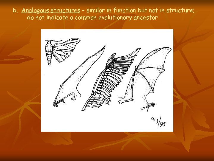 b. Analogous structures – similar in function but not in structure; do not indicate