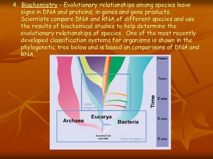 4. Biochemistry – Evolutionary relationships among species leave signs in DNA and proteins; in