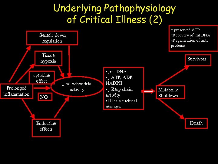 Underlying Pathophysiology of Critical Illness (2) • preserved ATP Genetic down regulation • Recovery