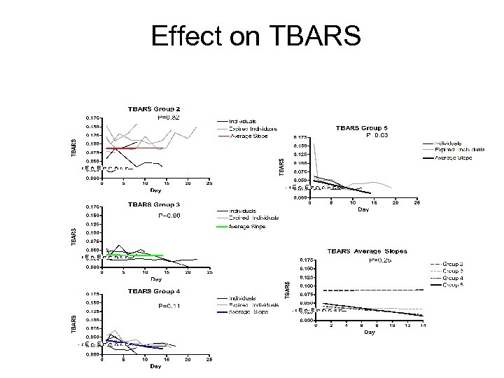 Effect on TBARS 